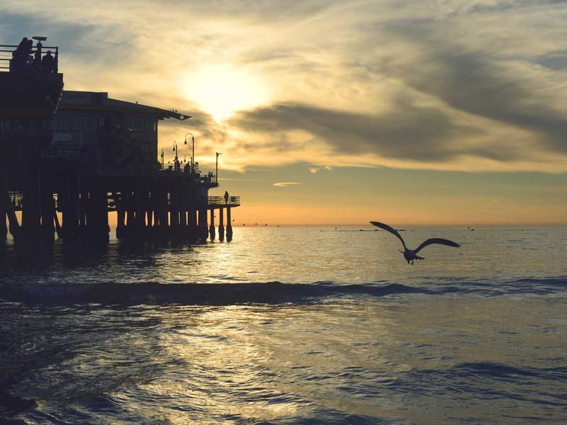 赛博朋克2077<br>uwsuuyl.cn 夜之城生存